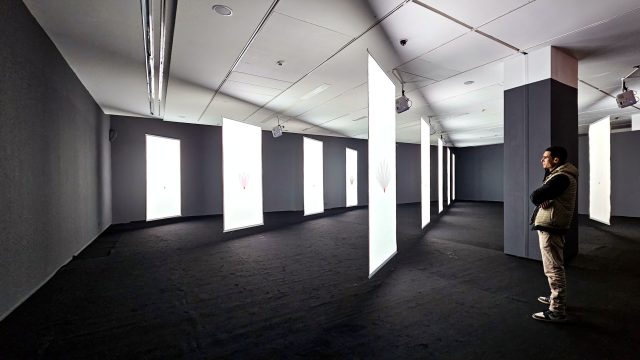 Habba-Chajara-Zahra at Musée Mohammed VI